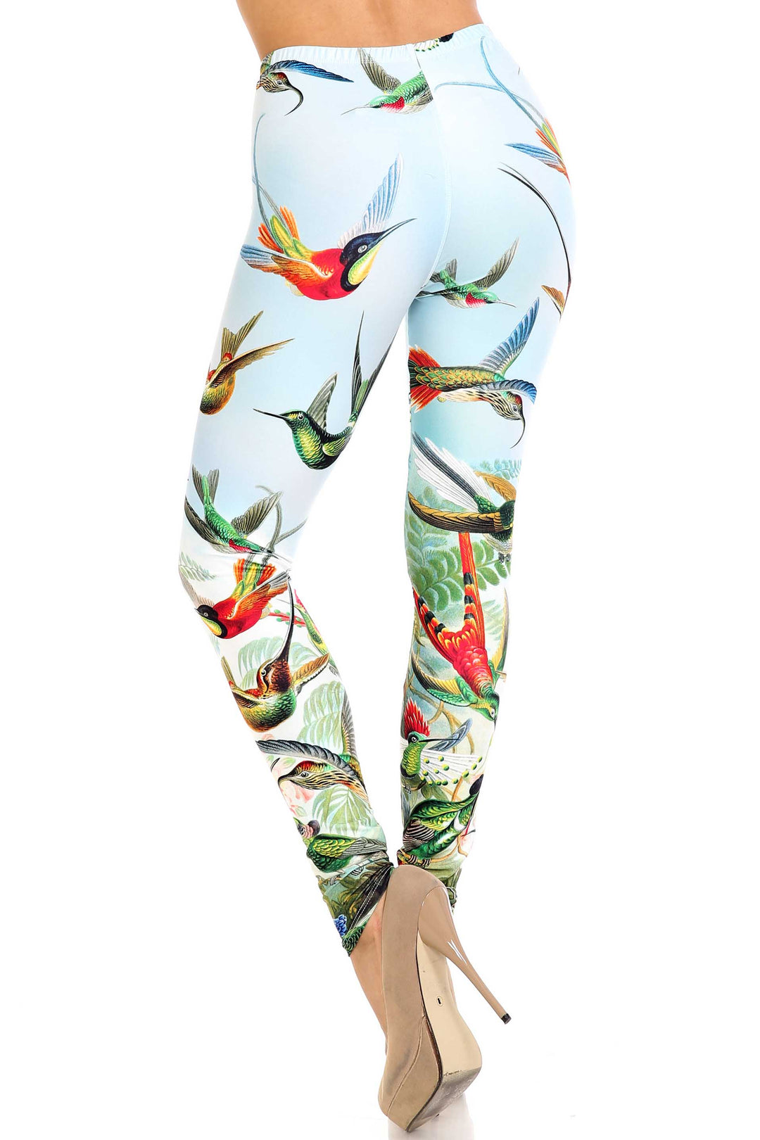 Creamy Soft Happy Hummingbirds Plus Size Leggings - USA Fashion