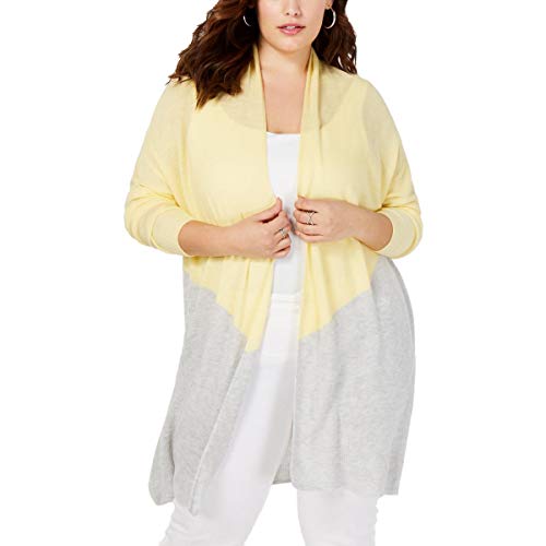 Plus Size Colorblocked Completer Sweater