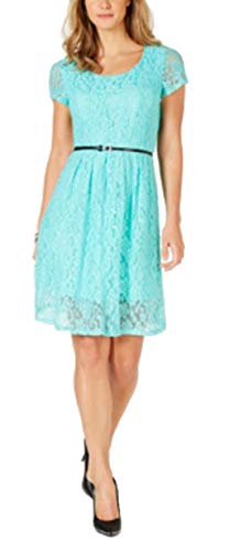 NY Collection Petite Lace Fit Flare Dress