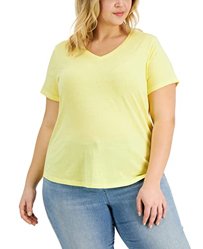 Style & Co Plus Size Solid Burnout T-Shirt
