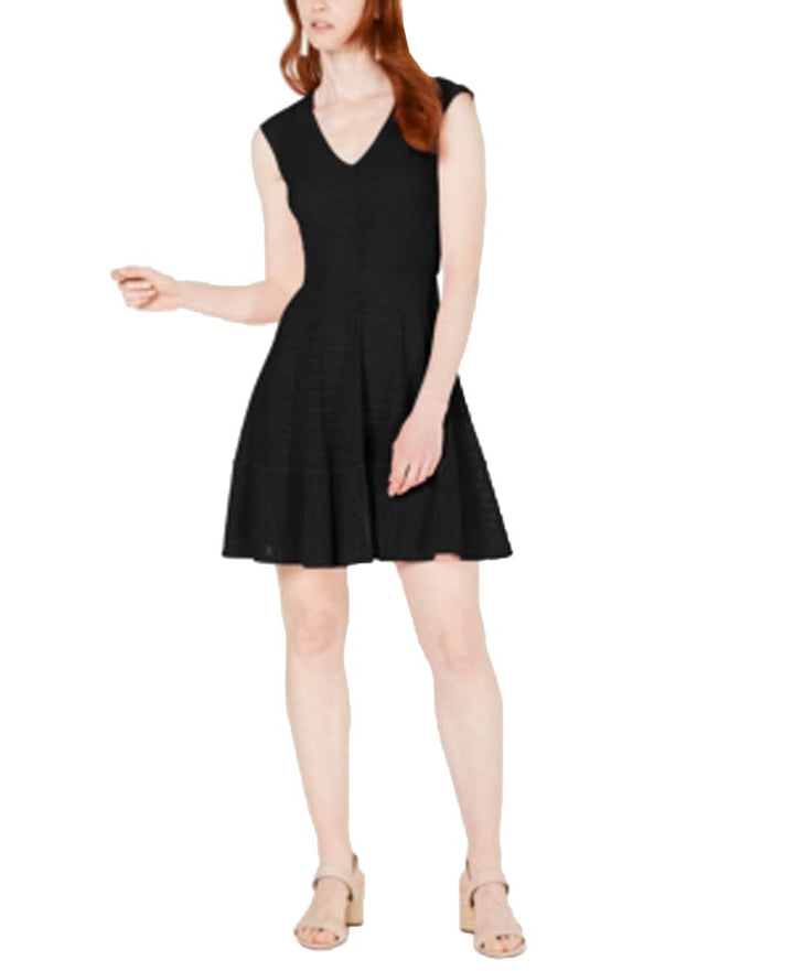 Bar III Mesh Fit Flare Dress