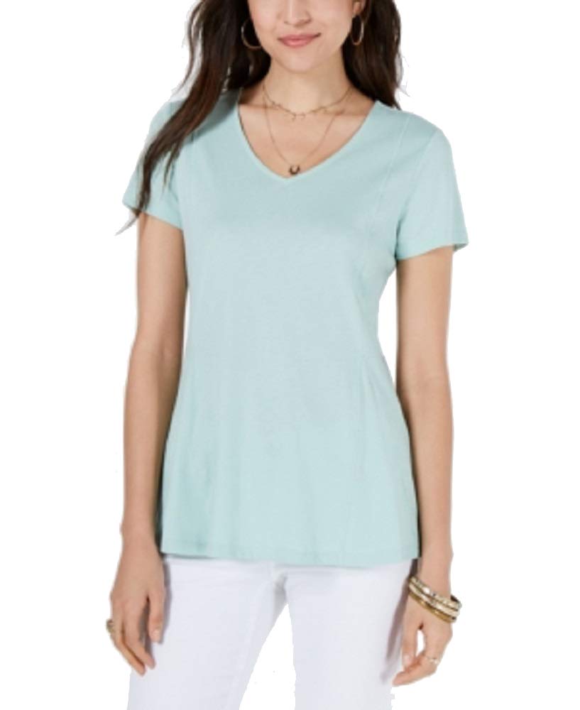 Style & Co Petite V Neck Top