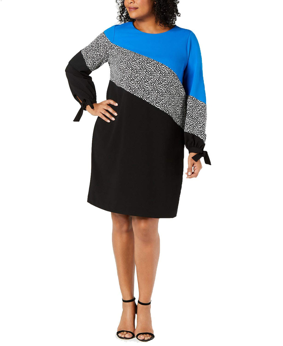 Plus Size Colorblocked Shift Dress
